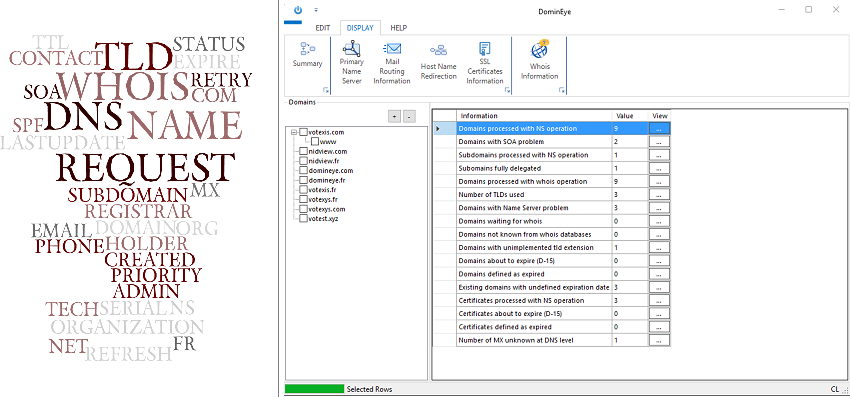 WHOIS & DNS data collector for domain names